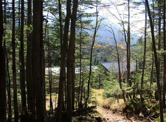 20161007mugikusatouge-028.jpg
