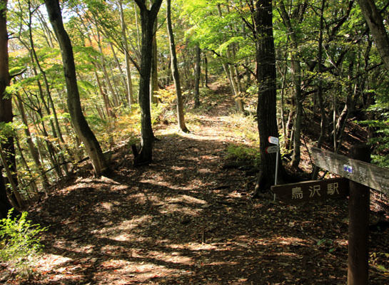 20151018ogiyama-017.jpg