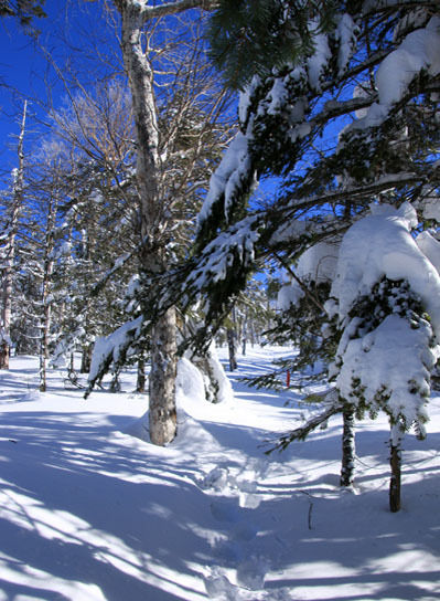 20150124kitayokodake-010.jpg