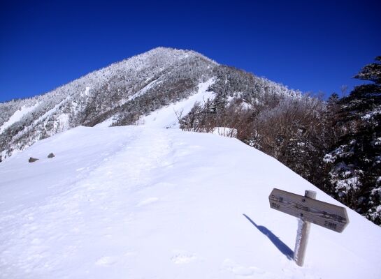 20140322mitugashira-016.jpg