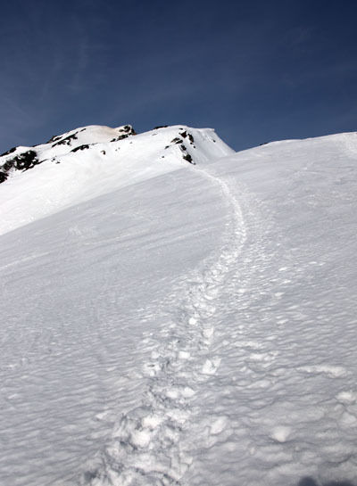 20160409karamatudake-016.jpg