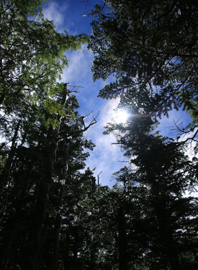 20160716yakushidake-011.jpg