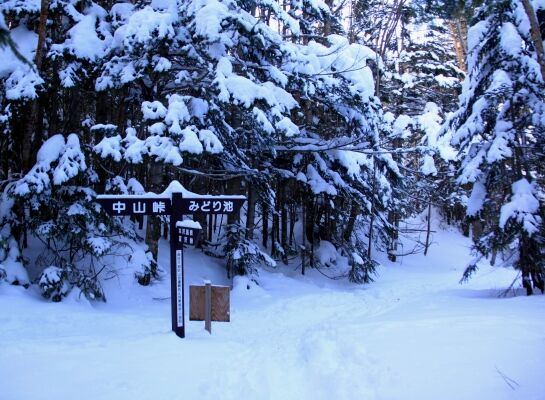 20131221yatugatake-120.jpg