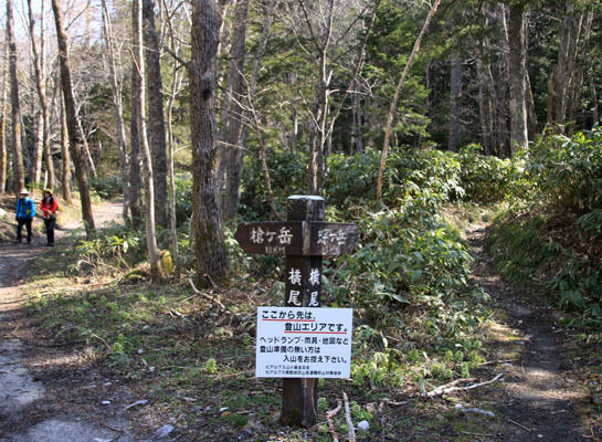 20160429chogatake-015.jpg