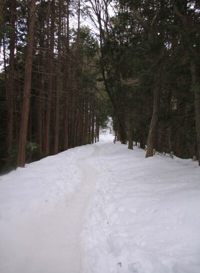 20140223takaosan-004