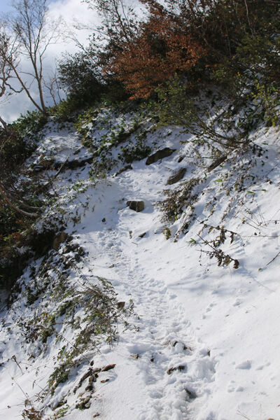 20231007karamatudake-013