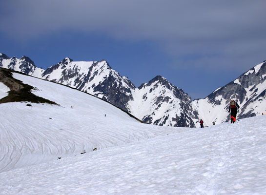 20150425karmatudake-010.jpg