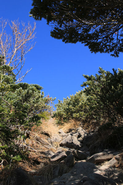 20231102amigasayama-010