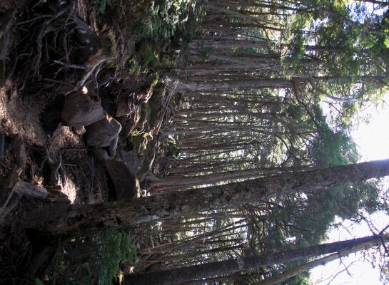 20131013yatu-021.jpg
