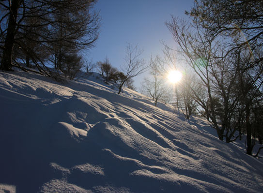 20150124kitayokodake-003.jpg