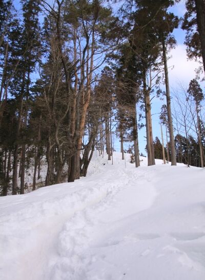 20140223takaosan-012