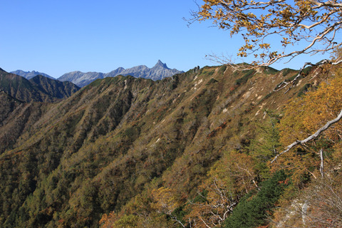 20201002tubakurodake-012