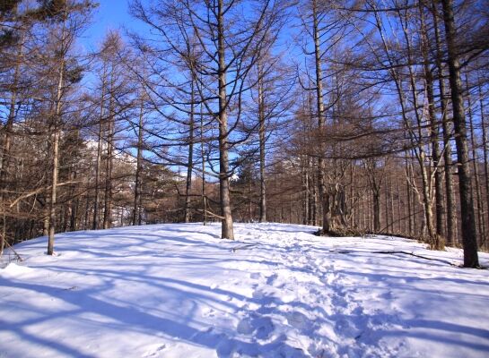 20140322mitugashira-010.jpg