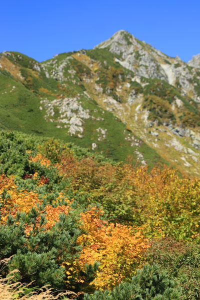 20190927tateyama-024