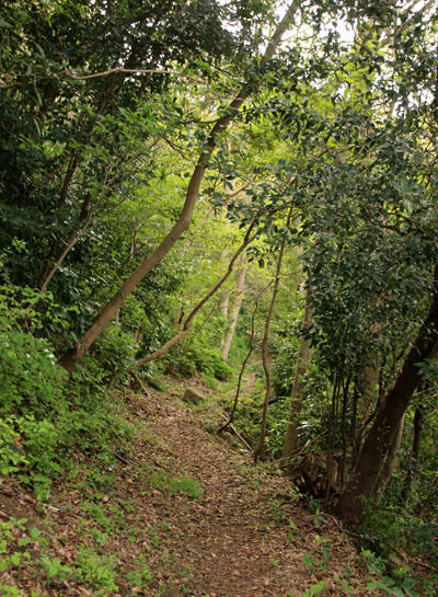 20150521numadu-005.jpg