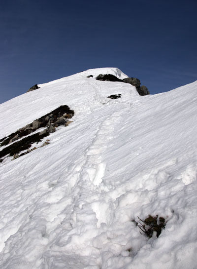 20160409karamatudake-020.jpg