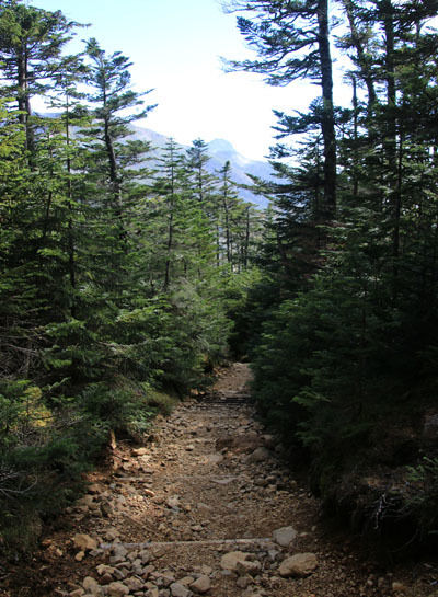 20161007mugikusatouge-027.jpg