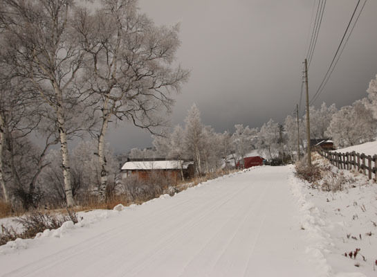 20161210azumayasan-028.jpg