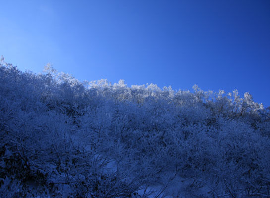 20161104amakazariyama-027.jpg