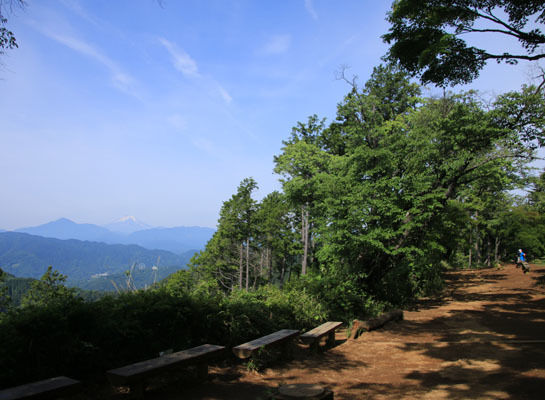 20150523takaosan-006.jpg