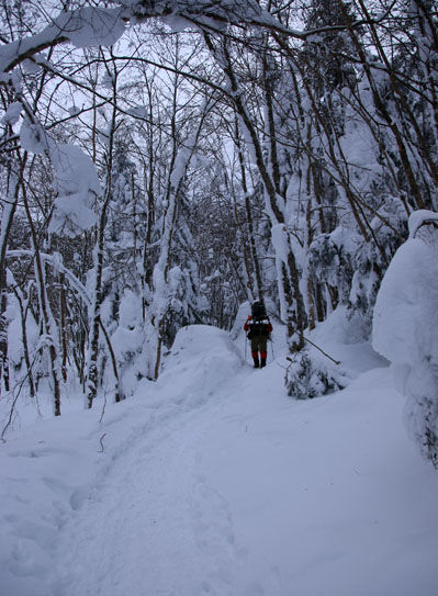 20150112akadakekousen-005.jpg