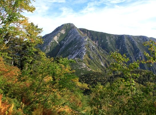 20130922chogatake-016.jpg