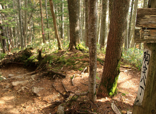 20151008kisokoma-011.jpg