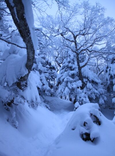 20131221yatugatake-101