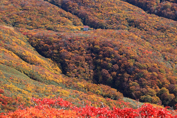 20171012yakeishidake-024.jpg