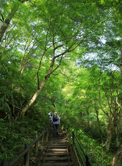 20150523takaosan-004.jpg