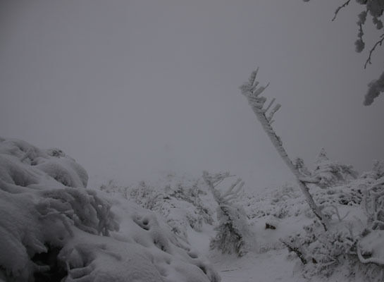 20151226yatugatake-012.jpg