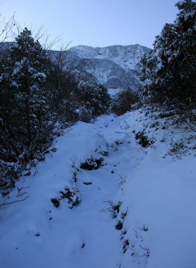 20161104amakazariyama-015.jpg