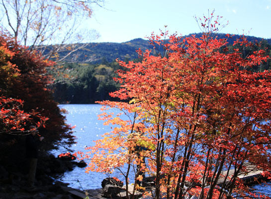 20161007mugikusatouge-007.jpg