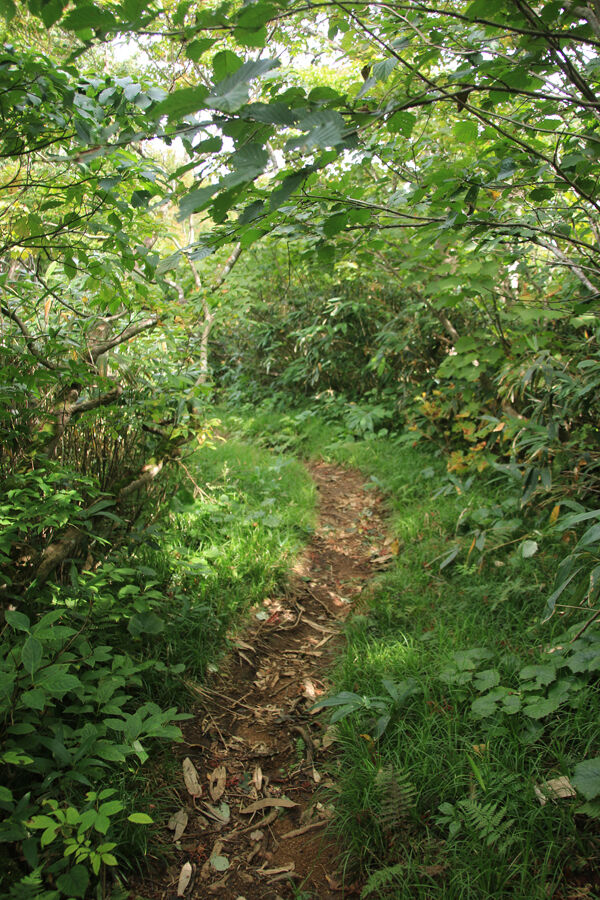 20170916ooasahidake-032.jpg