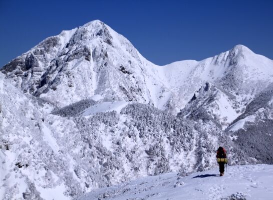 20140322mitugashira-027.jpg
