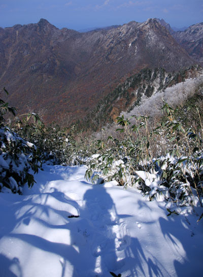 20161104amakazariyama-046.jpg