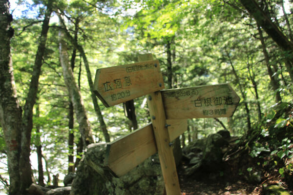 20170902shiraneoike-005.jpg