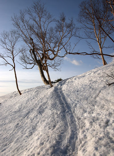 20160409karamatudake-009.jpg