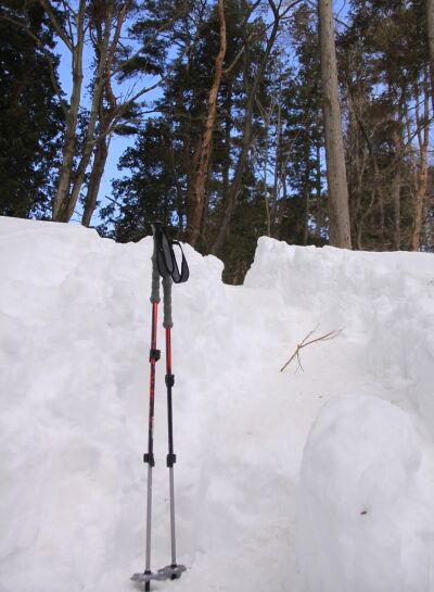 20140223takaosan-011