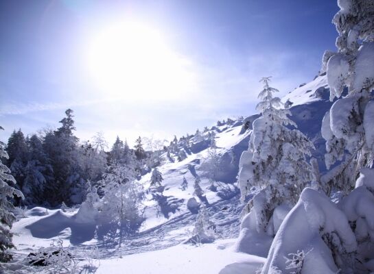 20140103tengu-007.jpg