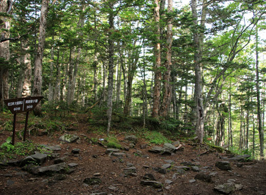 20140803hououhigaeri-016.jpg