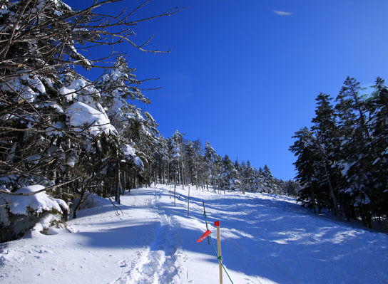 20150124kitayokodake-009.jpg