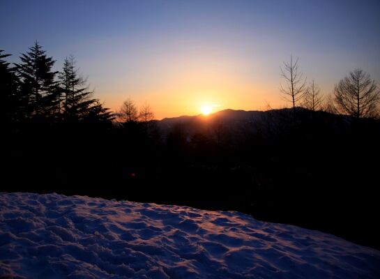 20140322mitugashira-006.jpg
