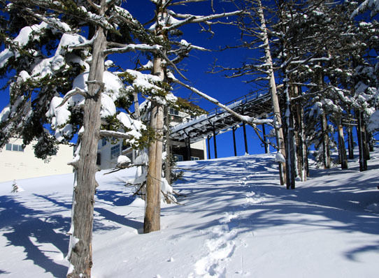 20150124kitayokodake-011.jpg