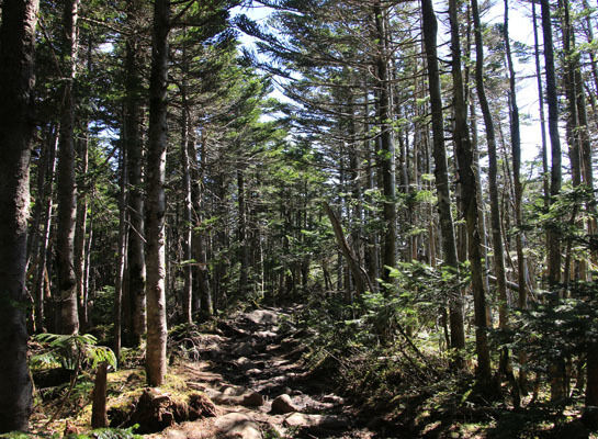 20161007mugikusatouge-013.jpg