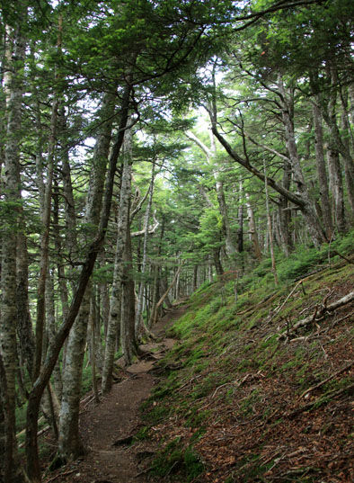 20140803hououhigaeri-009.jpg