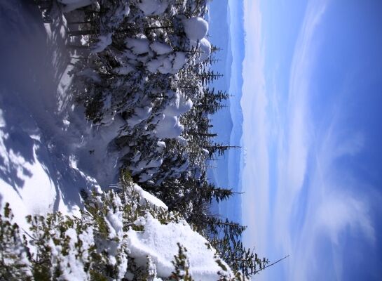 20140103tengu-026.jpg