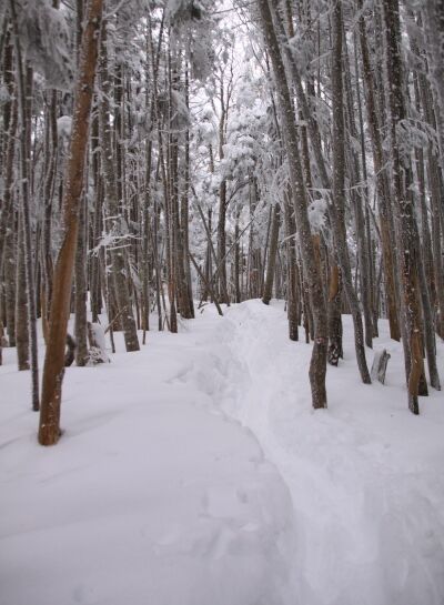 20140111yatugatake-010