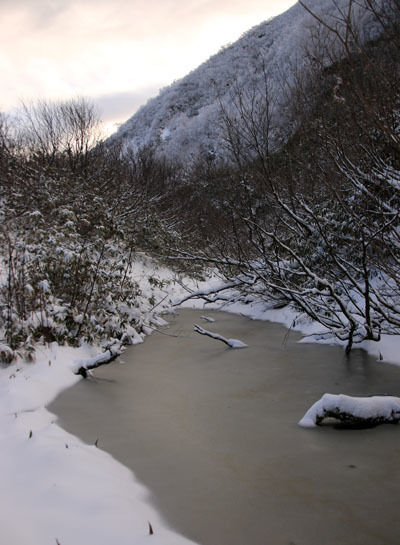 20161104amakazariyama-019.jpg