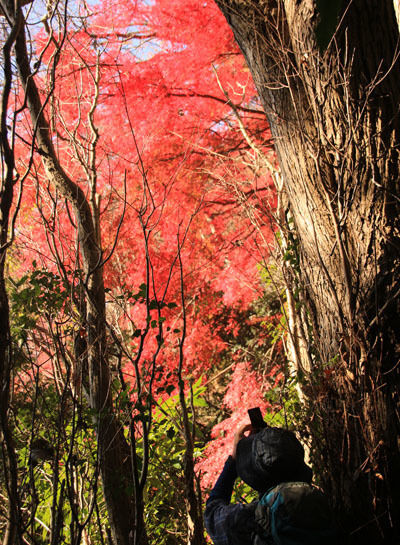 20151205nantaisan-006.jpg